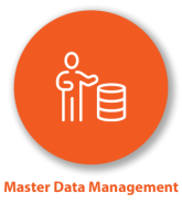 Master Data Management Icon